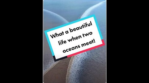 What a beautiful life when two oceans meet!