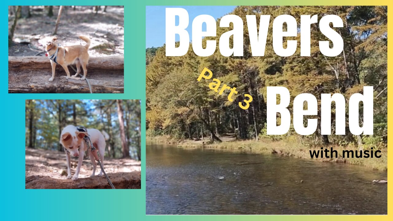 Scenic Beavers Bend Hiking Part 3