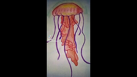 Jellyfish Drawing