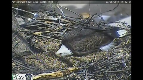 Hays Eagles Mom harassed by visitor 3.26.14 14:40