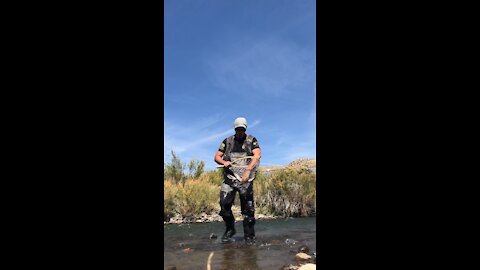 Flyfishing for wild trout