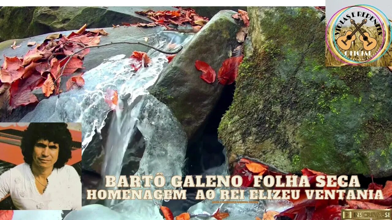 BARTÔ GALENO FOLHA SECA HOMENAGEM AO REI DA CANÇÃO ELIZEU VENTANIA