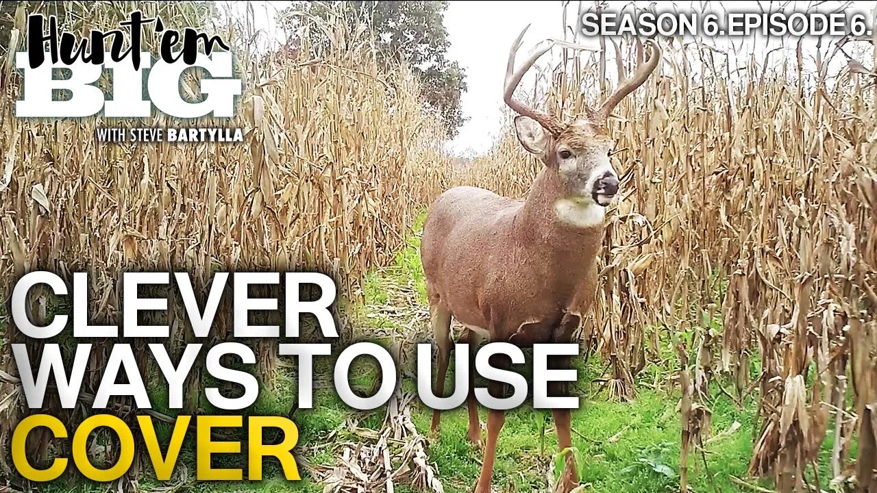 Hunt Different Types of Deer Cover