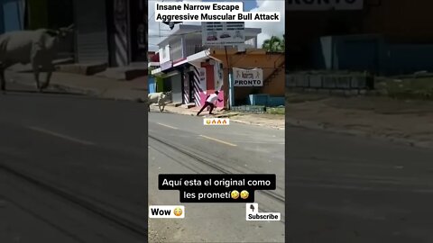 Insane Narrow Escape Aggressive Muscular Bull Attack #shorts #animals #cow #bull #wildlife