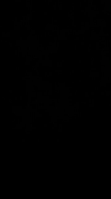 If the government can print money, why tax us?