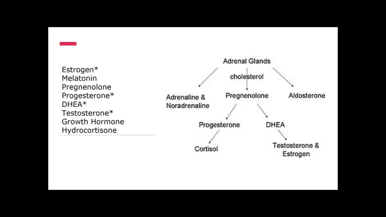 Bioidentical Hormone Therapy (BHRT) 2021 4thAnnFxMedSymposium