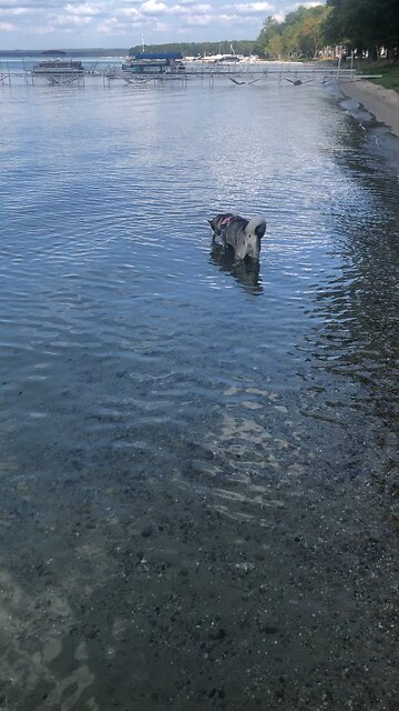 Thursday Sept 19, Become like a little child