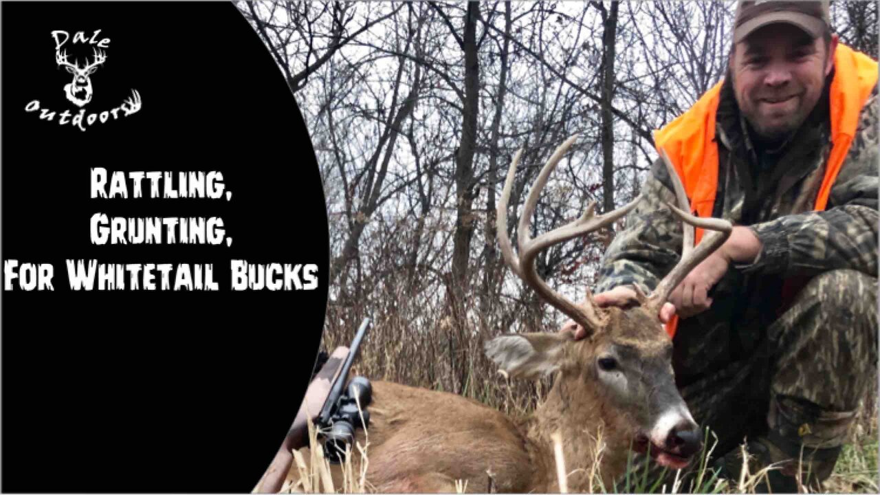 Rattling, Grunting, For Whitetail Bucks. (A guide to rattling)