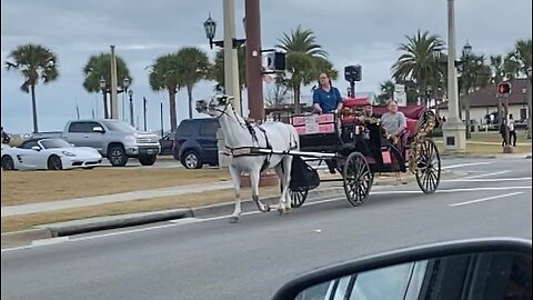 Life in Florida