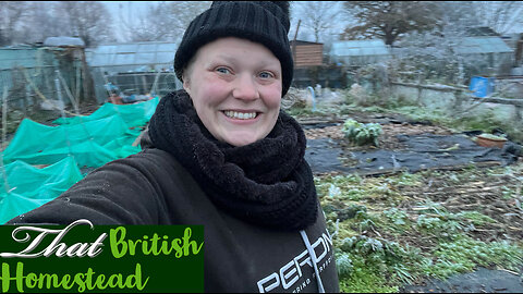 WEATHER WARNING at the Allotment Garden