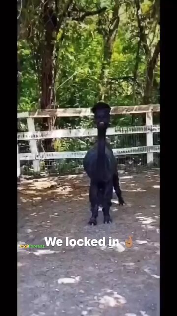 Bro saw a demon‼️