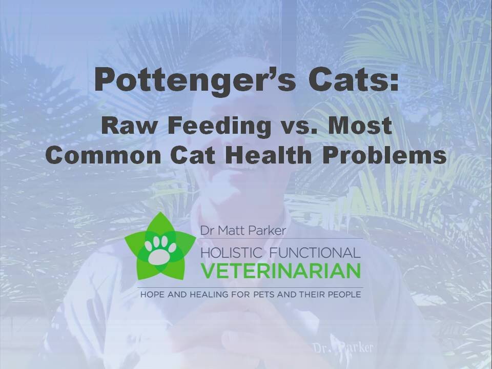 Pottenger's Cats: A Study in Nutrition