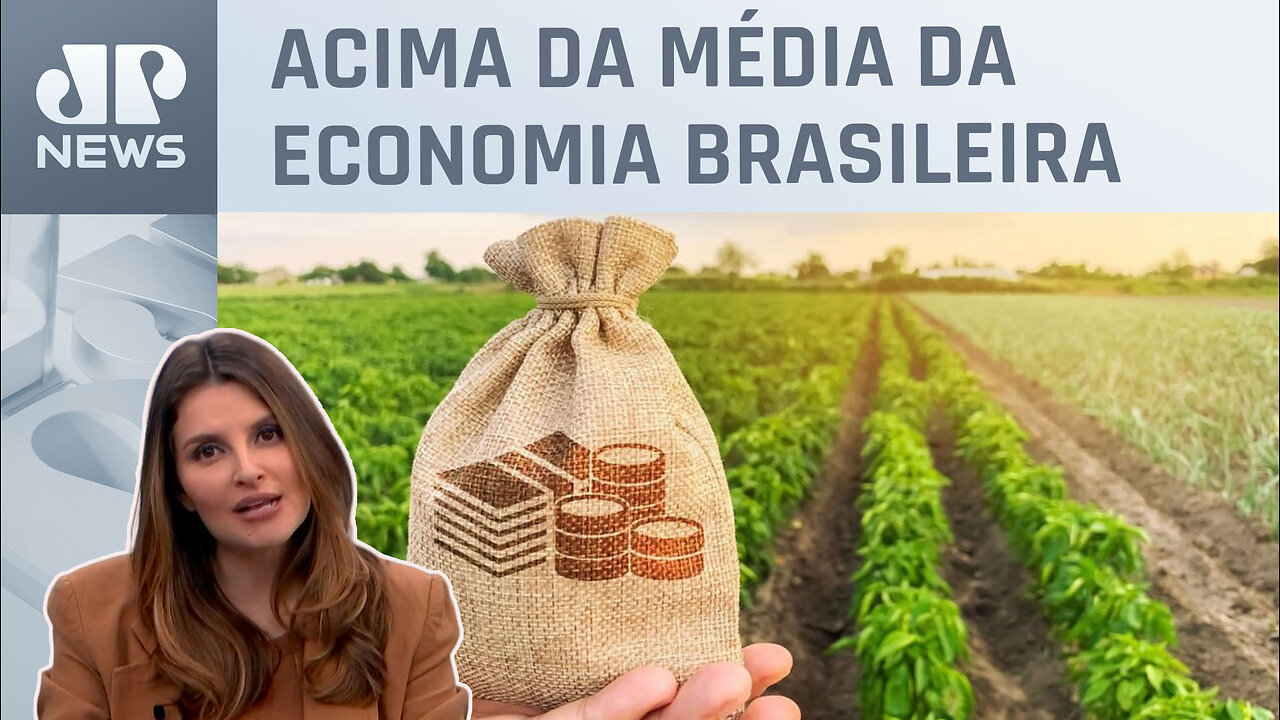 Salário médio no agronegócio cresce 12,6% em sete anos; Kellen Severo comenta