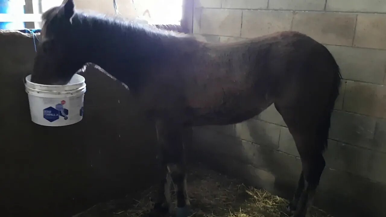 20181108_161135 (Converted).mov