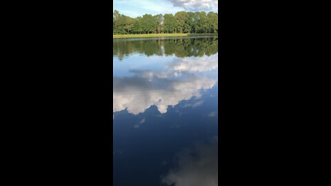 Peaceful pond