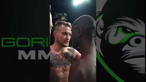 William Gomis vs Jarno Errens: UFC Paris Face-off