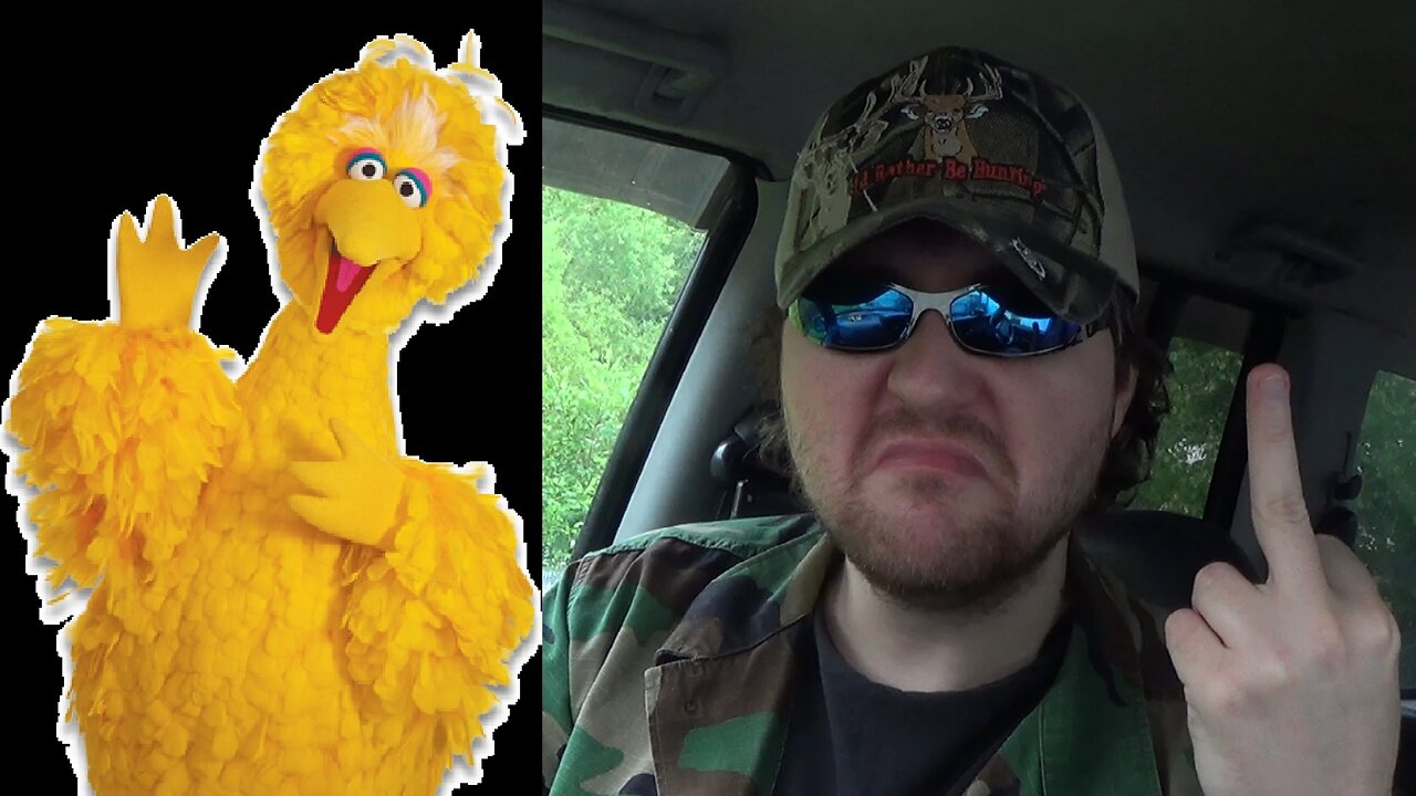 Big Bird Is A Big Creepy Kids Loving B*tch (Rant) (BBT) 2015