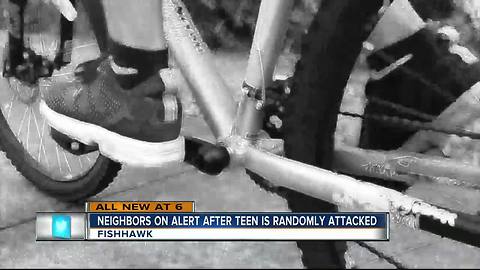 Neighbors on alert after 13-year-old boy randomly attacked while riding his bike in Tampa