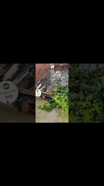 Flood #shorts #nature #status #viral