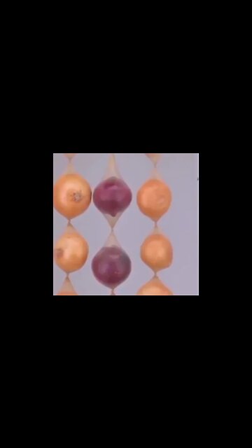 Onions and potatoes hack for a longer term @George Serbanescu @People Vs Food @Knowledge 360