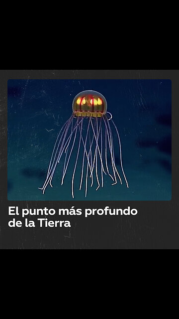 Abismo de Challenger: el lugar más profundo del océano