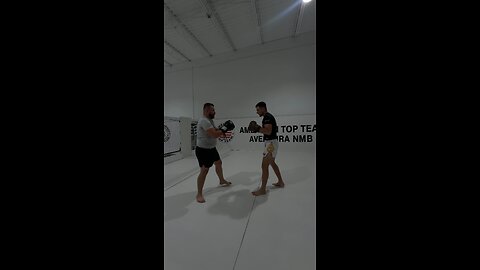 training for ufc