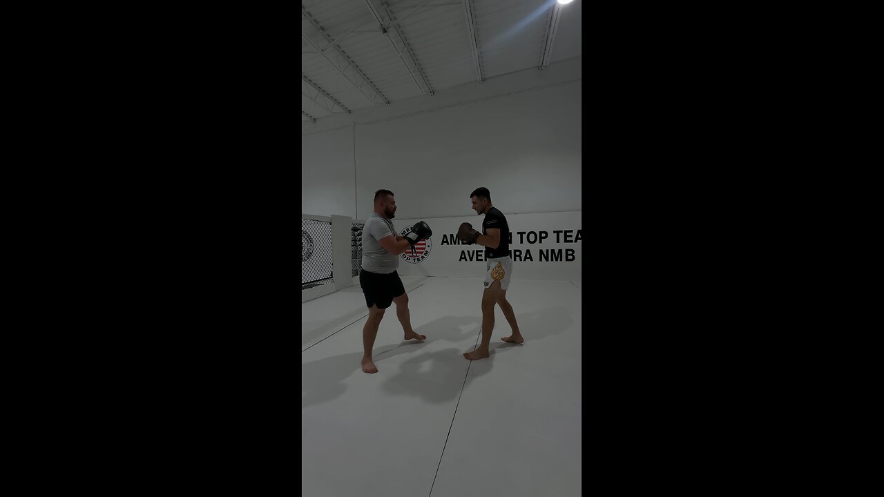 training for ufc