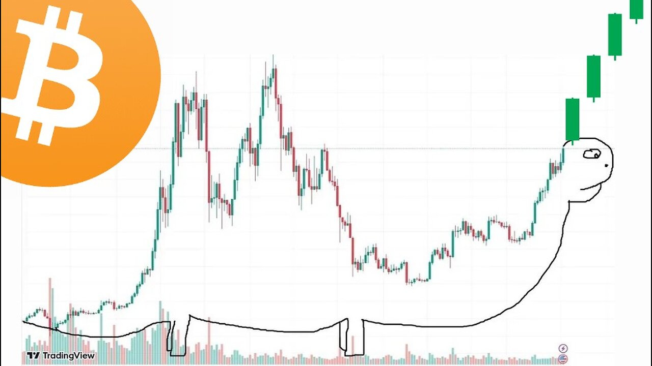 THE SINGLE MOST BULLISH BITCOIN CHART IN ALL OF EXISTANCE