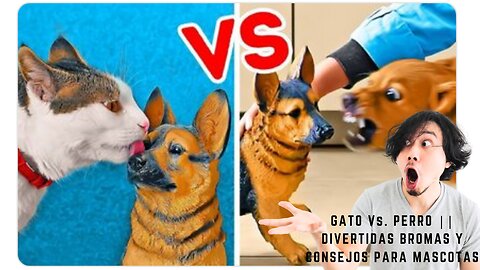 GATO Vs. PERRO || DIVERTIDAS BROMAS Y CONSEJOS PARA MASCOTAS