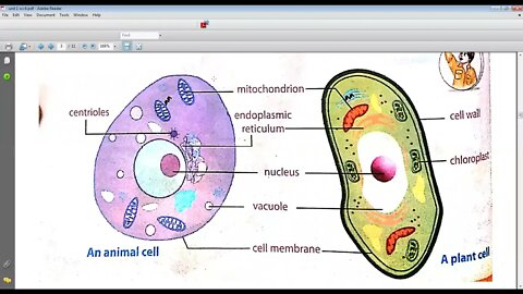SCIENCE CLASS 6 5 04 2021
