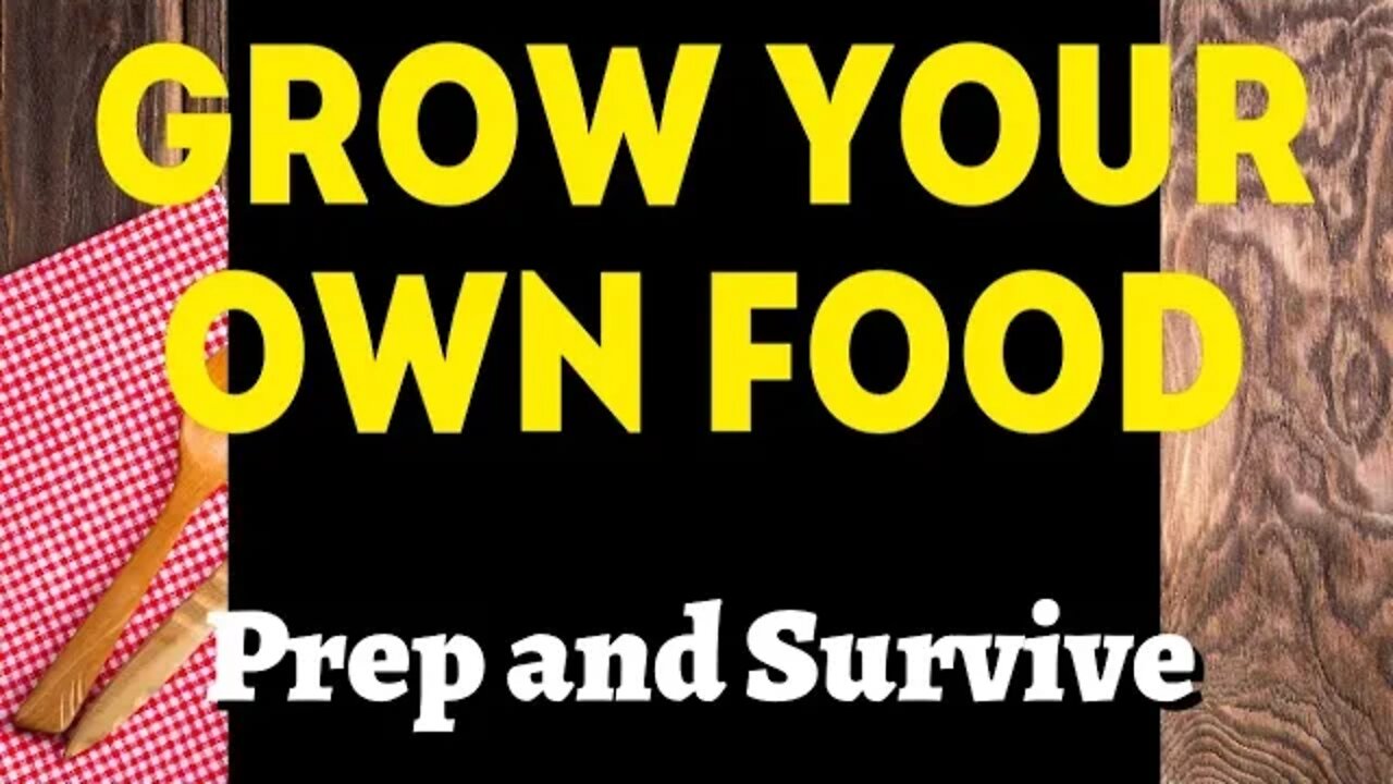 How To Survive The Great Reset and Food Shortage? GROW Your Own Food