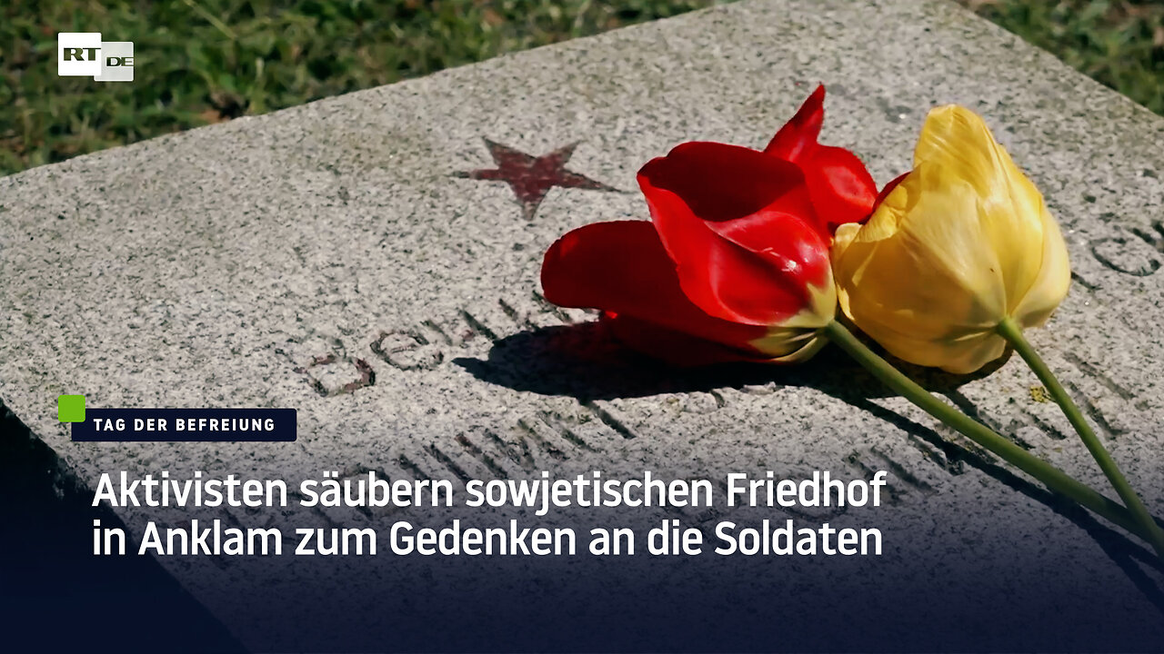 Zum Tag der Befreiung: Aktivisten säubern sowjetischen Soldatenfriedhof in Anklam