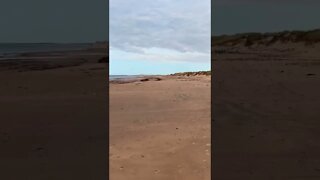 Long beach on PEI north shore