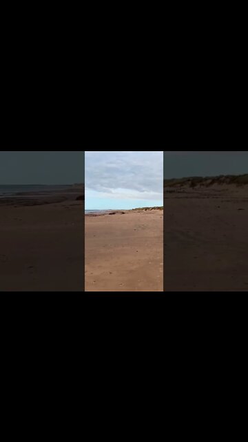 Long beach on PEI north shore