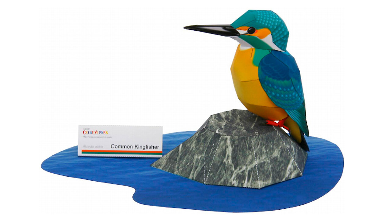 Paper fisherman/Pescador de papel/Pássaro pescador de papel
