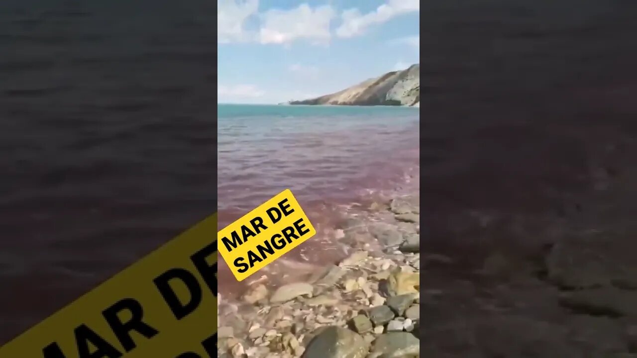 El Mar Negro frente a la costa de Anapa se volvió en sangre debido a las algas (Rusia) ¿Una señal?