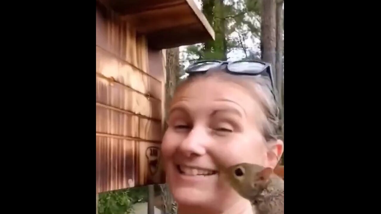 Building a new home for a squirrel that lost its nest during tree cutting
