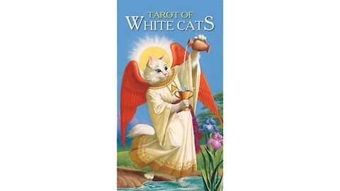 Tarot of White Cats