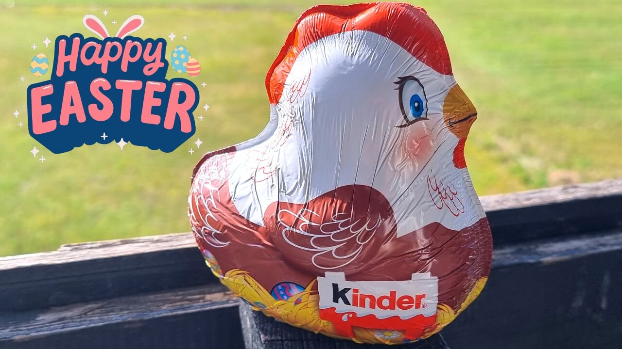 ASMR, Kinder Easter Chick