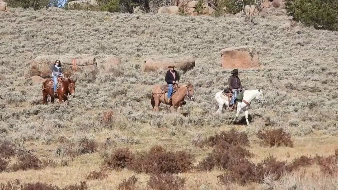 My Heroes Have Always Been Climate Scientists