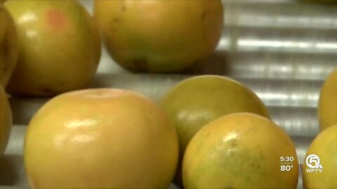 Citrus growers squeezed by inflation