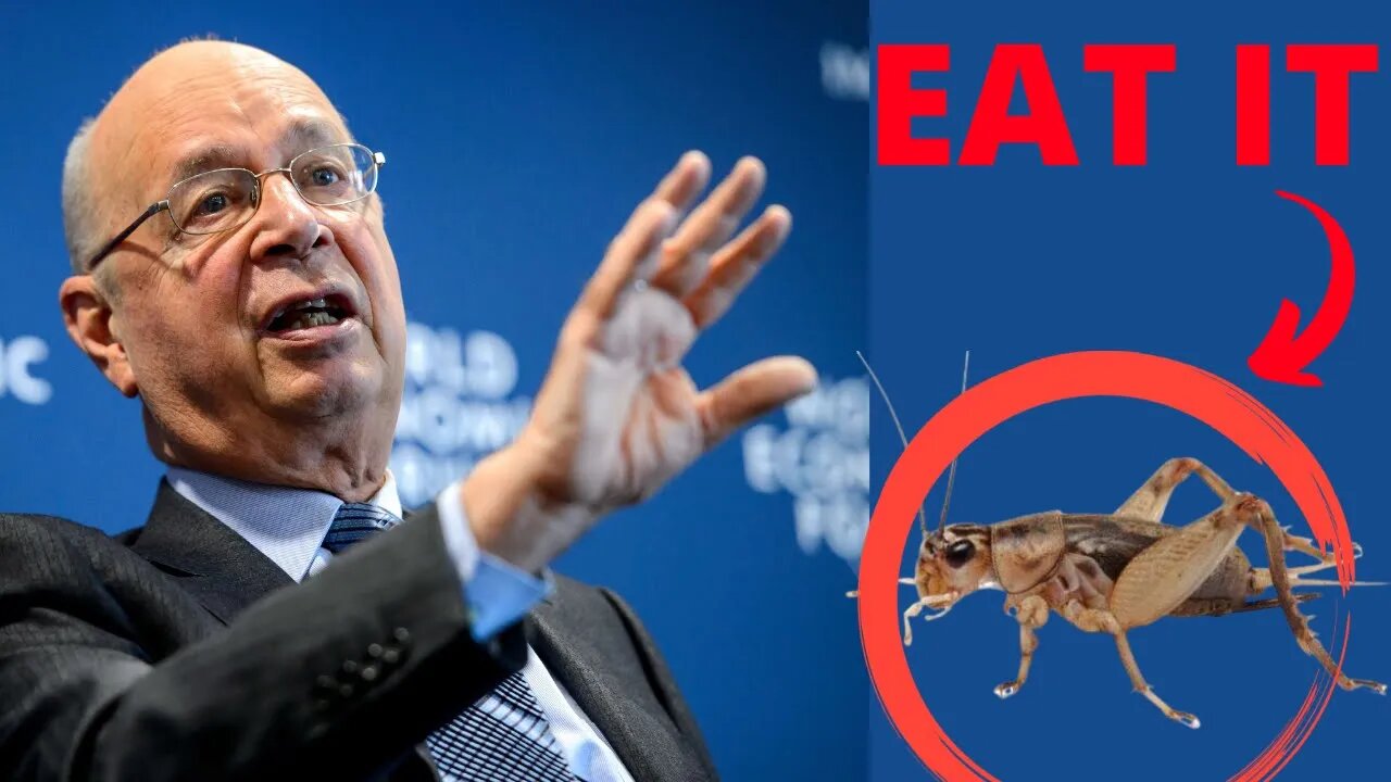 THEY ARE SELLING CRICKETS IN STORES???