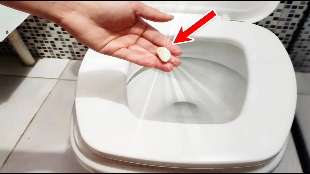 Put a Clove of Garlic Inside The Toilet at Night For This Brilliant Reason