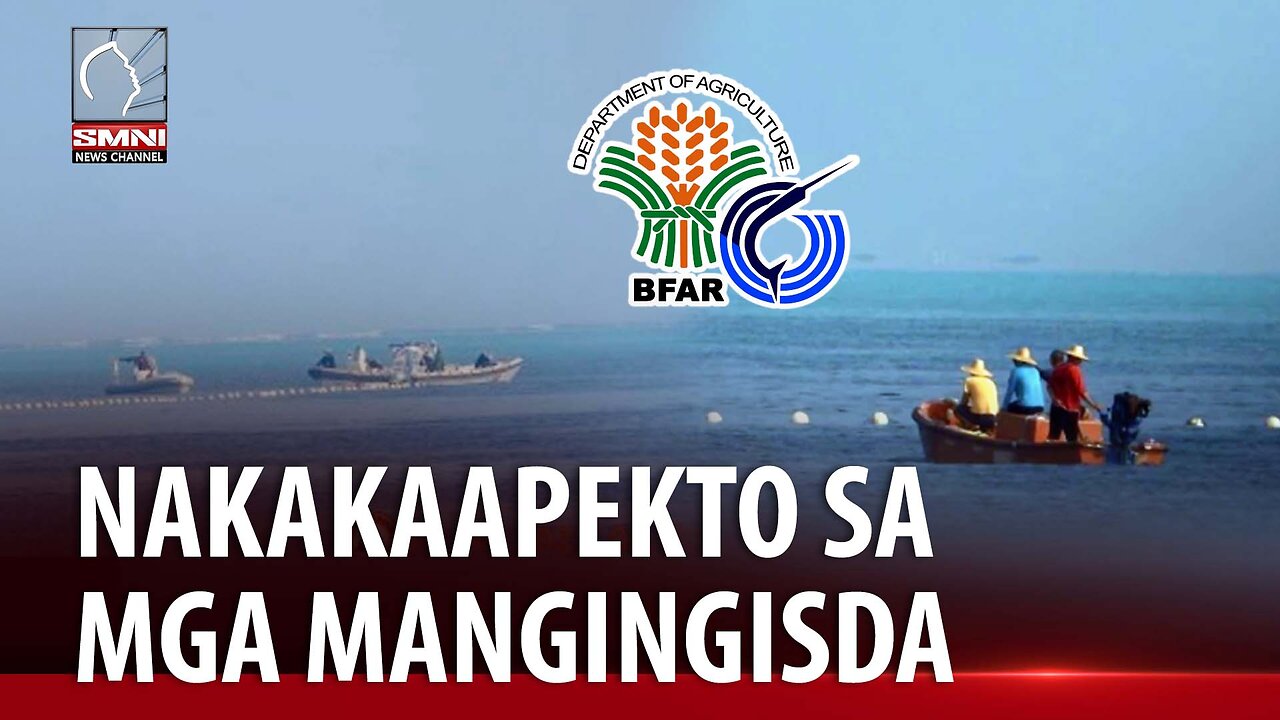 China's floating barriers, nakakaapekto sa fishing activity ng mga mangingisda —BFAR