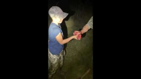 Deer heart