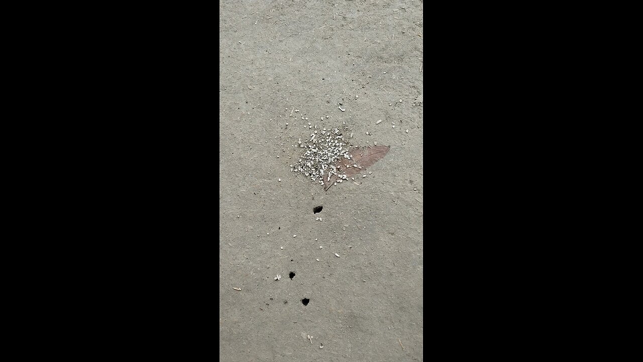 skill