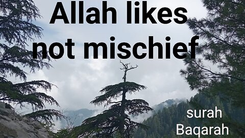 Allah not like mischief