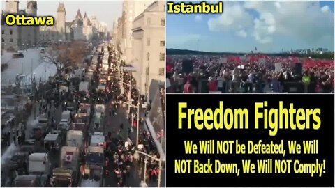 Freedom Fighters: We Will NOT be Defeated, We Will NOT Back Down, We Will NOT Comply!