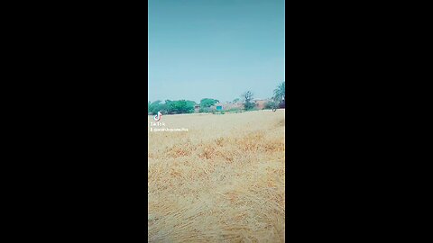 village