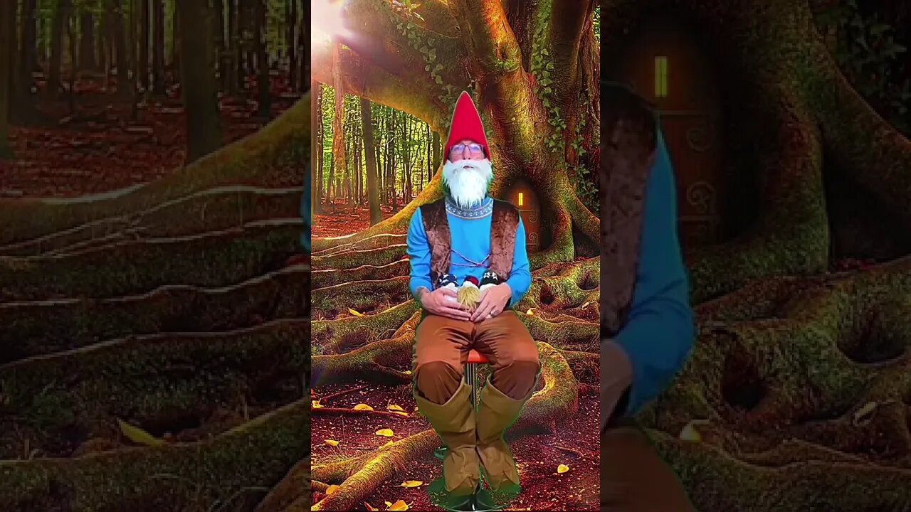 Get a Gnome in Your Home